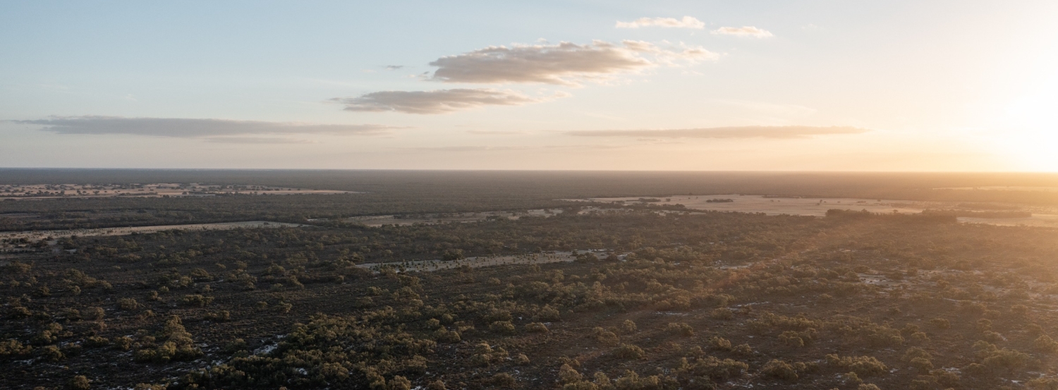 Thanks to our customers – a clean money movement over 184,000 strong now – we’re proud to launch our latest impact report today, highlighting a significant year of growth and positive impact for people and the planet. Here are 5 key takeaways from this year’s report:
